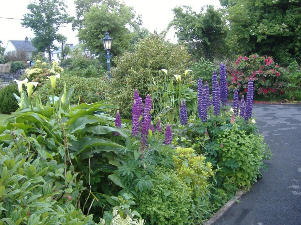 Riverwalk House B&B Oughterard Exterior foto