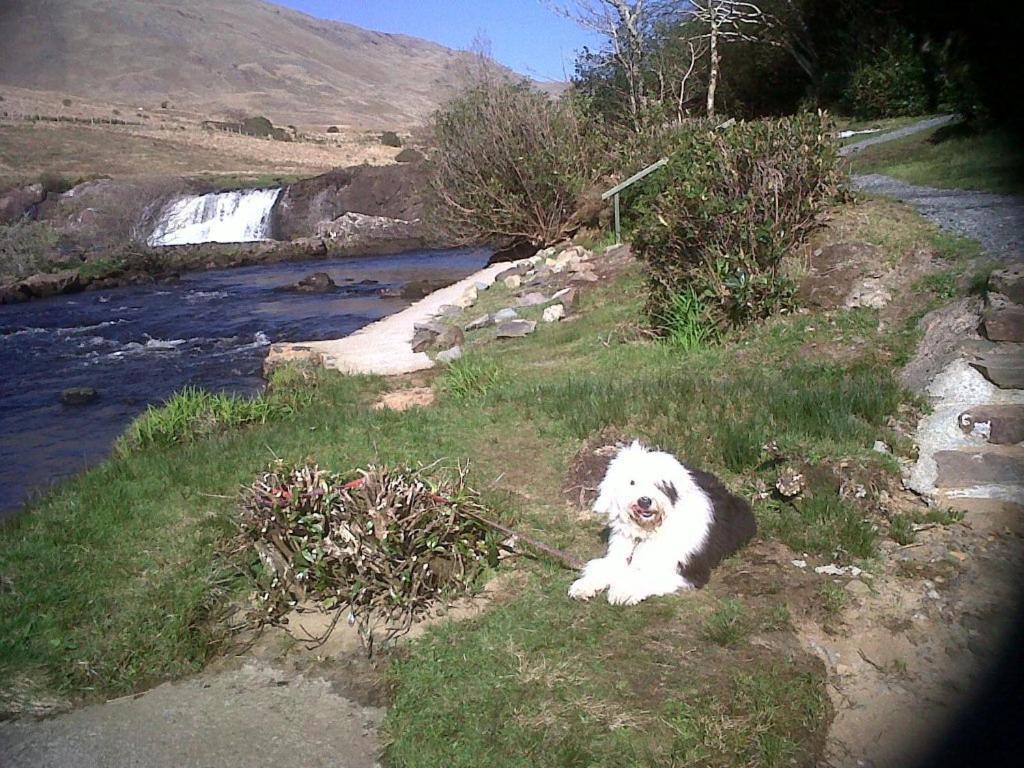 Riverwalk House B&B Oughterard Exterior foto